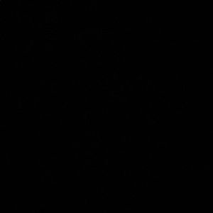 Meet your Posher, Nyla